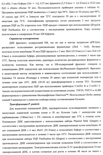 Улучшенные нанотела против фактора некроза опухоли-альфа (патент 2464276)