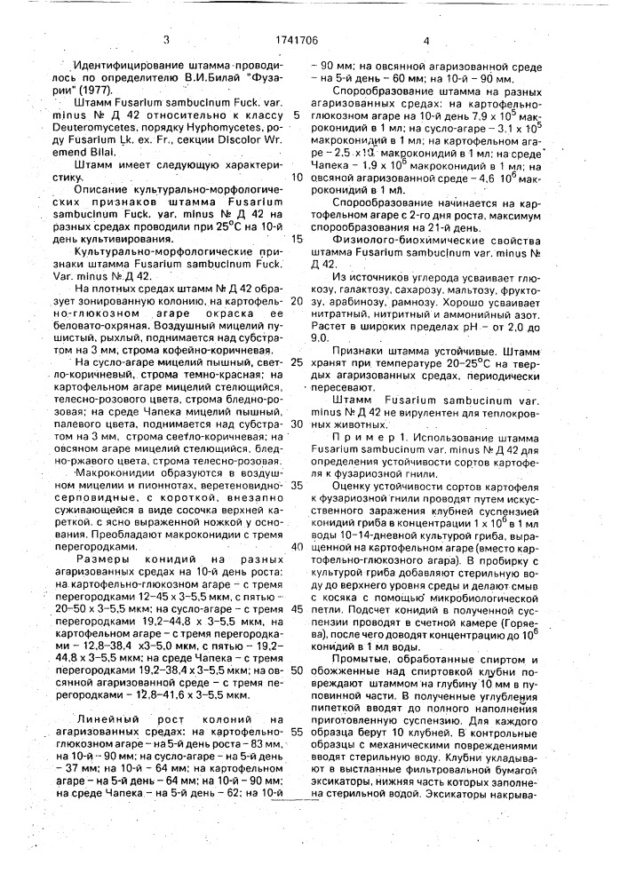 Штамм микромицета fusаriuм sамвuсinuм fuск. var мinus для оценки устойчивости картофеля к фузариозной гнили (патент 1741706)