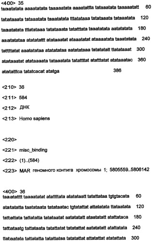 Днк, повышающая продуцирование белка, и ее применение (патент 2375450)