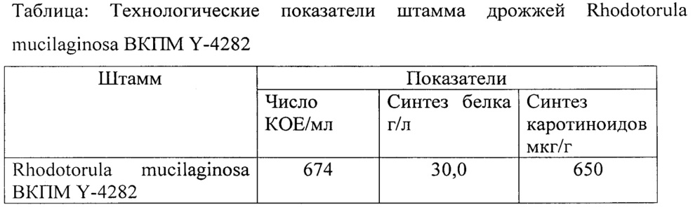 Штамм дрожжей rhodotorula mucilaginosa вкпм y-4282- продуцент каротиноидов (патент 2662964)