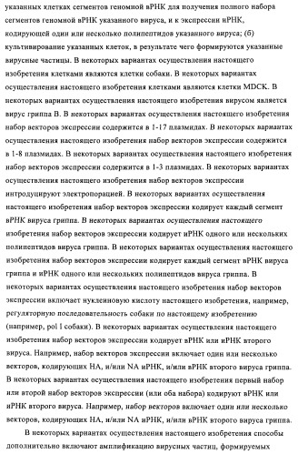 Способы и композиции для экспрессии антисмысловой вирусной рнк в клетках собаки (патент 2457250)