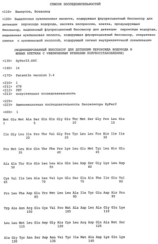 Выделенная нуклеиновая кислота, кодирующая флуоресцентный биосенсор для детекции пероксида водорода, кассета экспрессии, клетка, продуцирующая биосенсор, выделенный флуоресцентный биосенсор для детекции пероксида водорода, выделенная нуклеиновая кислота, кодирующая флуоресцентный биосенсор, оперативно слитая с нуклеиновой кислотой, кодирующей сигнал внутриклеточной локализации (патент 2493260)