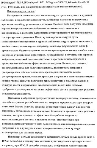 Способы и композиции для экспрессии антисмысловой вирусной рнк в клетках собаки (патент 2457250)