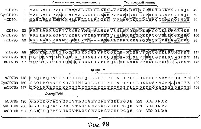 Анти-cd79b антитела и иммуноконъюгаты и способы их применения (патент 2511410)