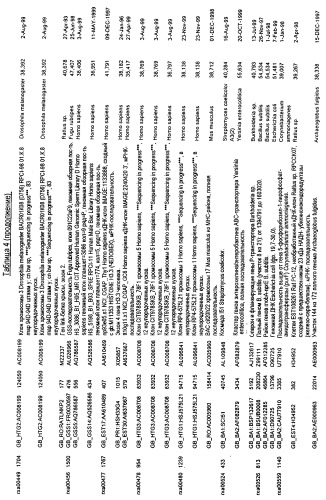 Гены corynebacterium glutamicum, кодирующие белки, участвующие в синтезе мембран и мембранном транспорте (патент 2312145)