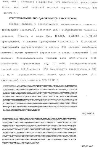 Антитела, сконструированные на основе цистеинов, и их конъюгаты (патент 2412947)