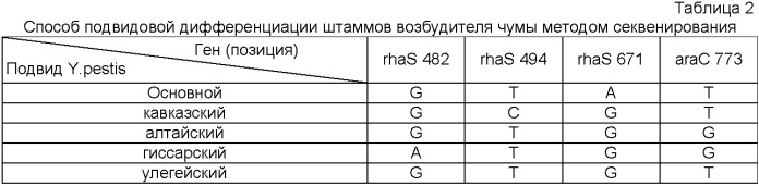 Способ подвидовой дифференциации штаммов возбудителя чумы методом секвенирования (патент 2404256)