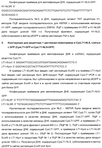 Способ идентификации соединений, взаимодействующих с трансмембранными белками (патент 2326166)
