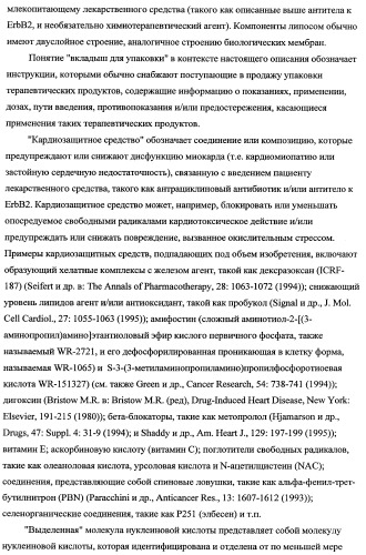 Способ лечения рака у человека (варианты), применяемая в способе форма (варианты) и применение антитела (варианты) (патент 2430739)