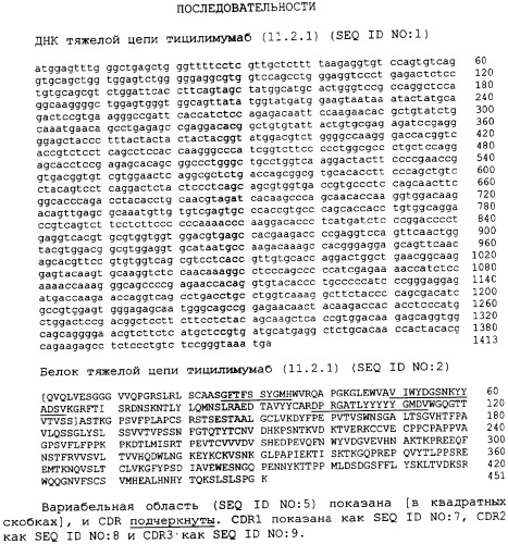 Композиция антител против ctla-4 (патент 2356579)