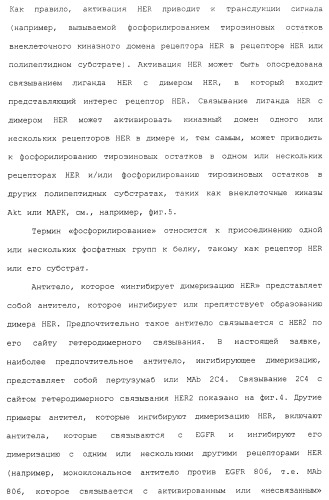 Продление времени до прогрессирования заболевания или продолжительности жизни у онкологических больных с применением ингибиторов димеризации her (патент 2404806)