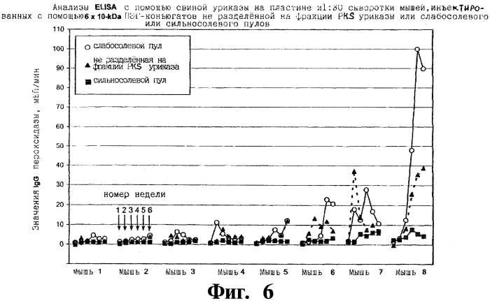 Очищенный препарат уратоксидазы, очищенная рекомбинантная уратоксидаза, конъюгат (варианты) и фармацевтическая композиция для снижения уровней мочевой кислоты в жидкости или ткани организма млекопитающего, очищенные фрагменты уратоксидазы и способ очистки уратоксидазы. (патент 2557318)