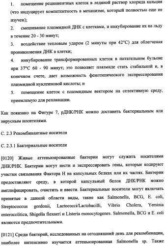 Иммуногенная композиция и способ разработки вакцины, основанной на участках связывания фактора н (патент 2364413)