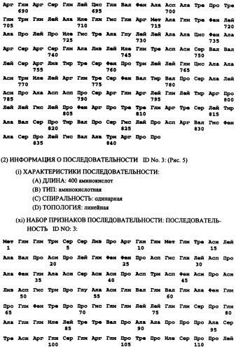 Мутантный штамм вируса гепатита в и его применение (патент 2270863)