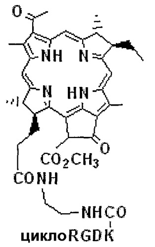 Конъюгаты rgd-пептидов и фотосенсибилизаторов порфирина или (бактерио)хлорофилла и их применение (патент 2450018)