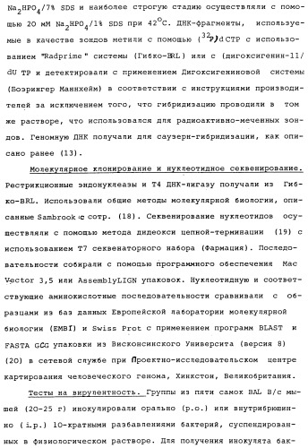 Vgc2 днк salmonella typhimurium, мутантная бактерия, обладающая пониженной способностью к адаптации к условиям окружающей среды, и способ ее получения (патент 2370541)