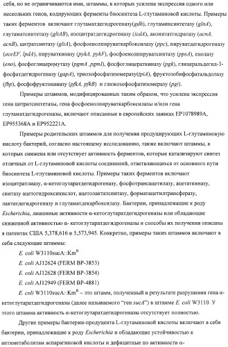 Способ получения l-аминокислот с использованием бактерии, принадлежащей к роду escherichia, в которой инактивирован один или несколько генов, кодирующих малые рнк (патент 2395567)