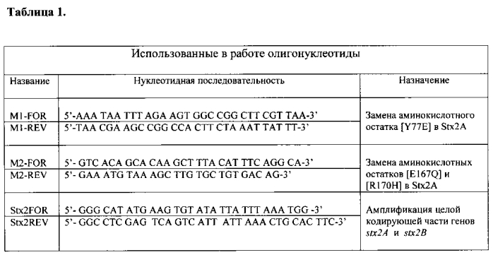 Нетоксичный рекомбинантный шига токсин 2-го типа (stx2) (патент 2573924)