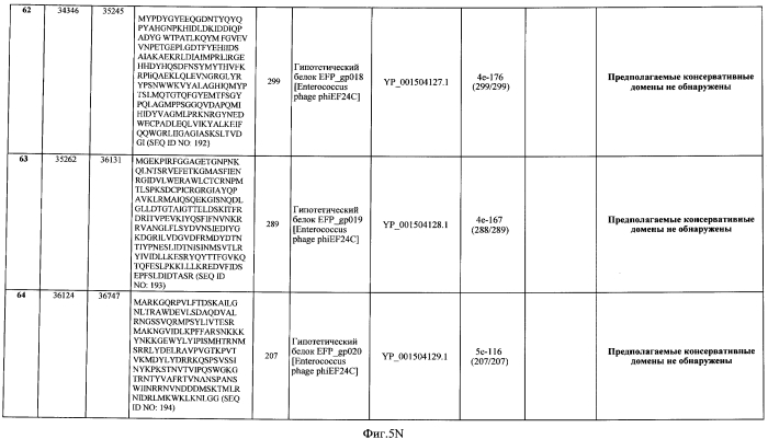 Бактериофаг, обладающий активностью против pseudomonas aeruginosa, белки бактериофага и способы их применения (патент 2580248)