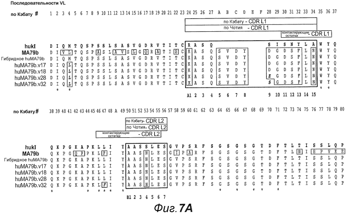 Анти-cd79b антитела и иммуноконъюгаты и способы их применения (патент 2553566)