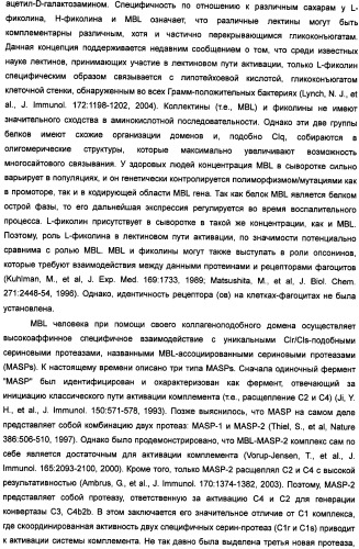 Способ лечения заболеваний, связанных с masp-2-зависимой активацией комплемента (варианты) (патент 2484097)