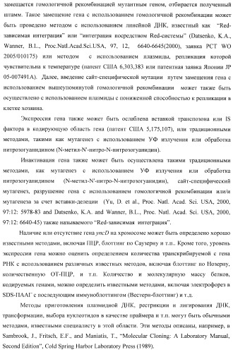 Способ получения l-треонина с использованием бактерии, принадлежащей к роду escherichia, в которой инактивирован ген yncd (патент 2396337)