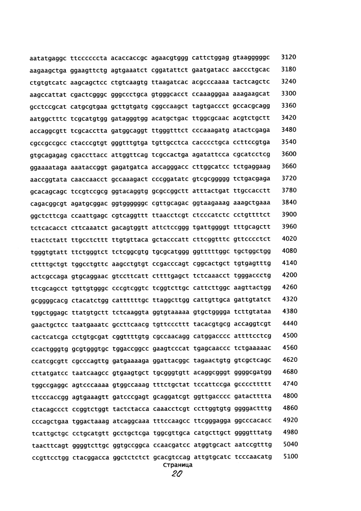 Комбинированная вакцина pcv/mycoplasma hyopneumoniae/prrs (pcv/mycoplasma hyopneumoniae/prrs combination vaccine) (патент 2644256)