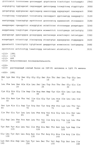 Pscaxcd3, cd19xcd3, c-metxcd3, эндосиалинxcd3, epcamxcd3, igf-1rxcd3 или fap-альфаxcd3 биспецифическое одноцепочечное антитело с межвидовой специфичностью (патент 2547600)