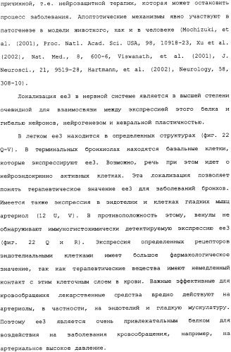 Ее3-семейство белков и соответствующие днк-последовательности (патент 2333918)