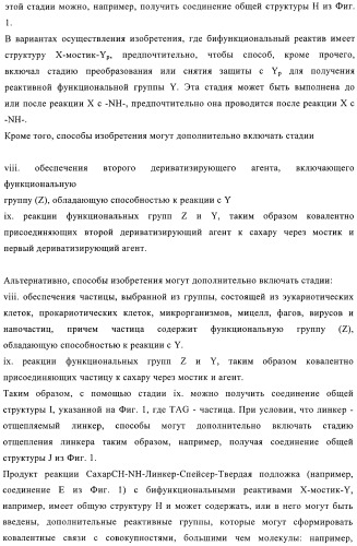 Твердофазное тегирование олигосахаридов: методика для манипуляции с иммобилизированными углеводами (патент 2398237)