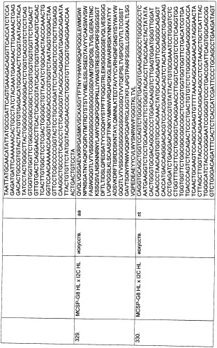 Pscaxcd3, cd19xcd3, c-metxcd3, эндосиалинxcd3, epcamxcd3, igf-1rxcd3 или fap-альфаxcd3 биспецифическое одноцепочечное антитело с межвидовой специфичностью (патент 2547600)