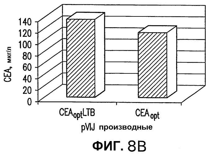 Слитые белки карциноэмбрионального антигена (патент 2380375)