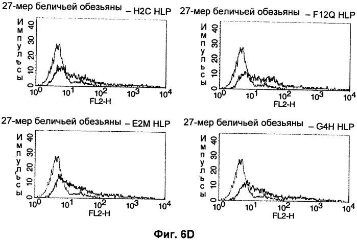 Psma×cd3 биспецифическое одноцепочечное антитело с межвидовой специфичностью (патент 2559531)