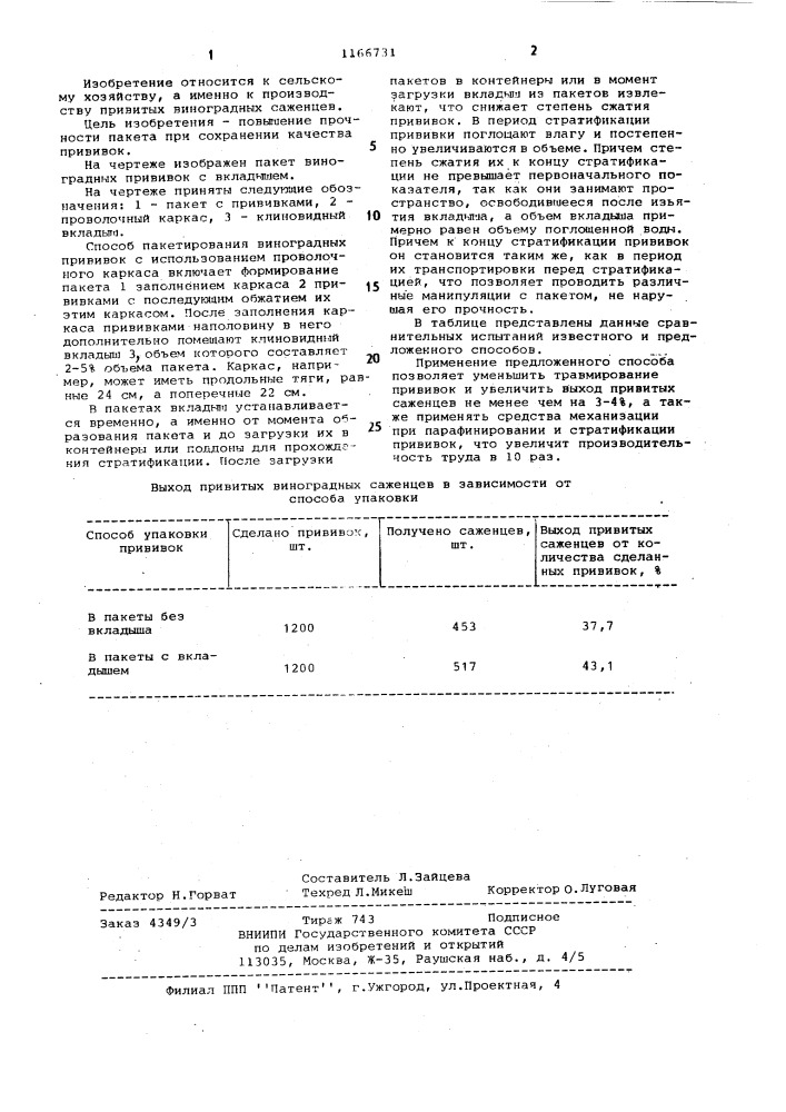 Способ пакетирования виноградных прививок (патент 1166731)