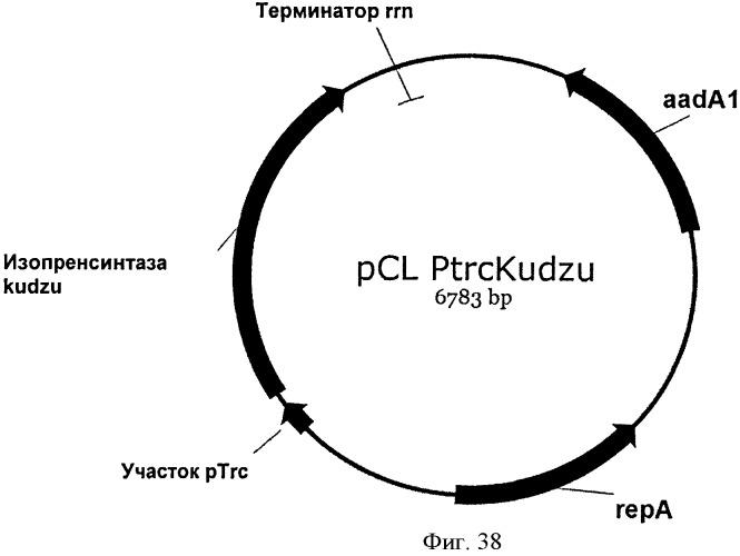 Топливные композиции, содержащие производные изопрена (патент 2531623)