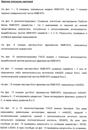 Домены и эпитопы менингококкового белка nmb1870 (патент 2375374)