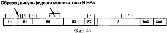 Химерные вирусоподобные частицы, содержащие гемагглютинин, сходные с частицами вируса гриппа (патент 2569195)