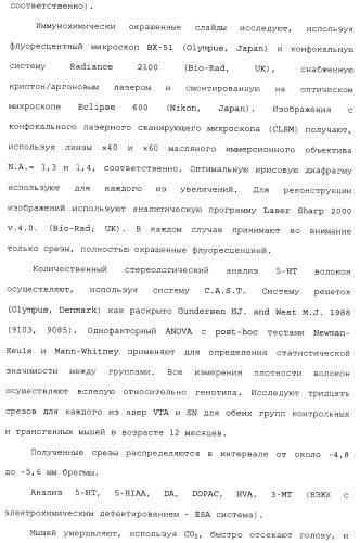 Комбинация агонистов альфа 7 никотиновых рецепторов и антипсихотических средств (патент 2481123)