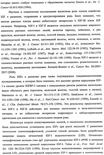 Связывающие протеины, специфичные по отношению к инсулин-подобным факторам роста, и их использование (патент 2492185)