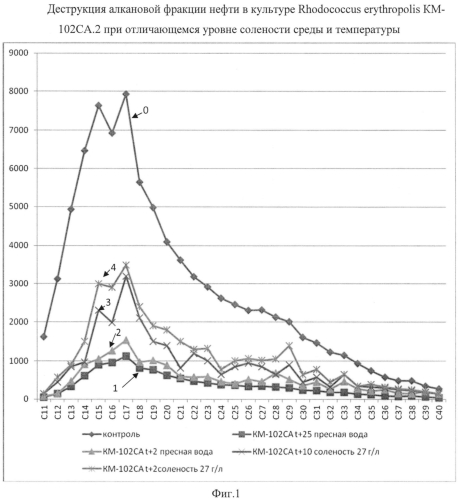 Штамм rhodococcus erythropolis для очистки солоноватоводных и морских экосистем от нефти и нефтепродуктов (патент 2553336)