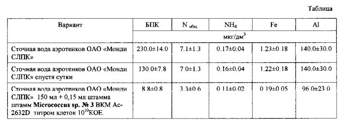 Штамм micrococcus sp., предназначенный для снижения содержания общего азота, аммоний-иона, железа и алюминия в сточных водах очистных сооружений промышленных предприятий (патент 2567010)