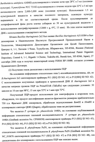 Способ получения гидроксилированной аминокислоты (варианты) и микроорганизм, трансформированный днк, кодирующей диоксигеназу (патент 2460779)