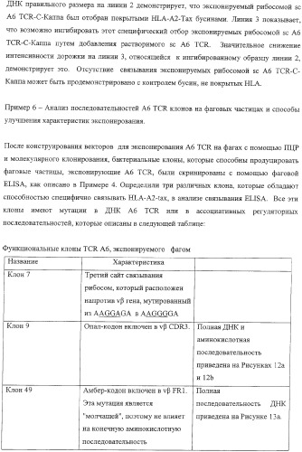 Экспонирование т-клеточных рецепторов (патент 2346004)