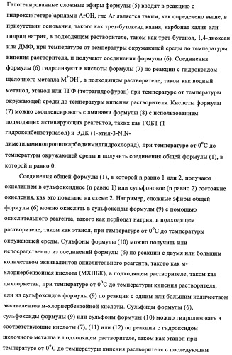 N-алкинил-2-(замещенные арилокси)-алкилтиоамидные производные как фунгициды (патент 2352559)