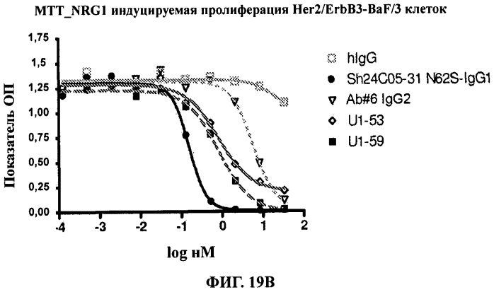 Антитела к erbb3 (патент 2568051)