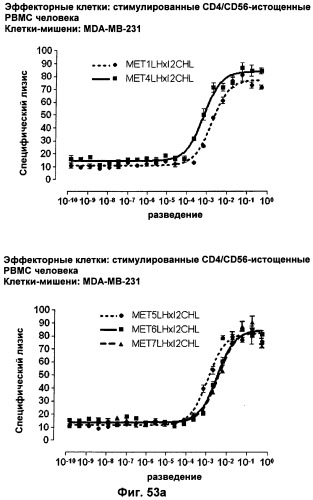 Pscaxcd3, cd19xcd3, c-metxcd3, эндосиалинxcd3, epcamxcd3, igf-1rxcd3 или fap-альфаxcd3 биспецифическое одноцепочечное антитело с межвидовой специфичностью (патент 2547600)