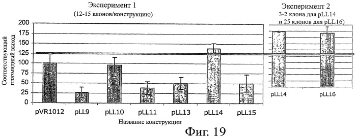 Днк-плазмиды, обладающие повышенной экспрессией и стабильностью (патент 2456346)