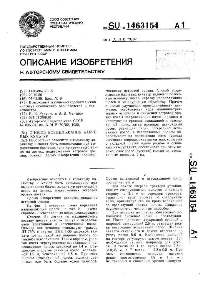 Способ возделывания бахчевых культур (патент 1463154)