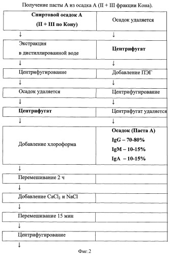 Иммуноглобулиновая основа для иммунобиологических препаратов и способ ее получения, суппозитории и мазь для профилактики и терапии бактериальных и вирусных заболеваний (патент 2361612)