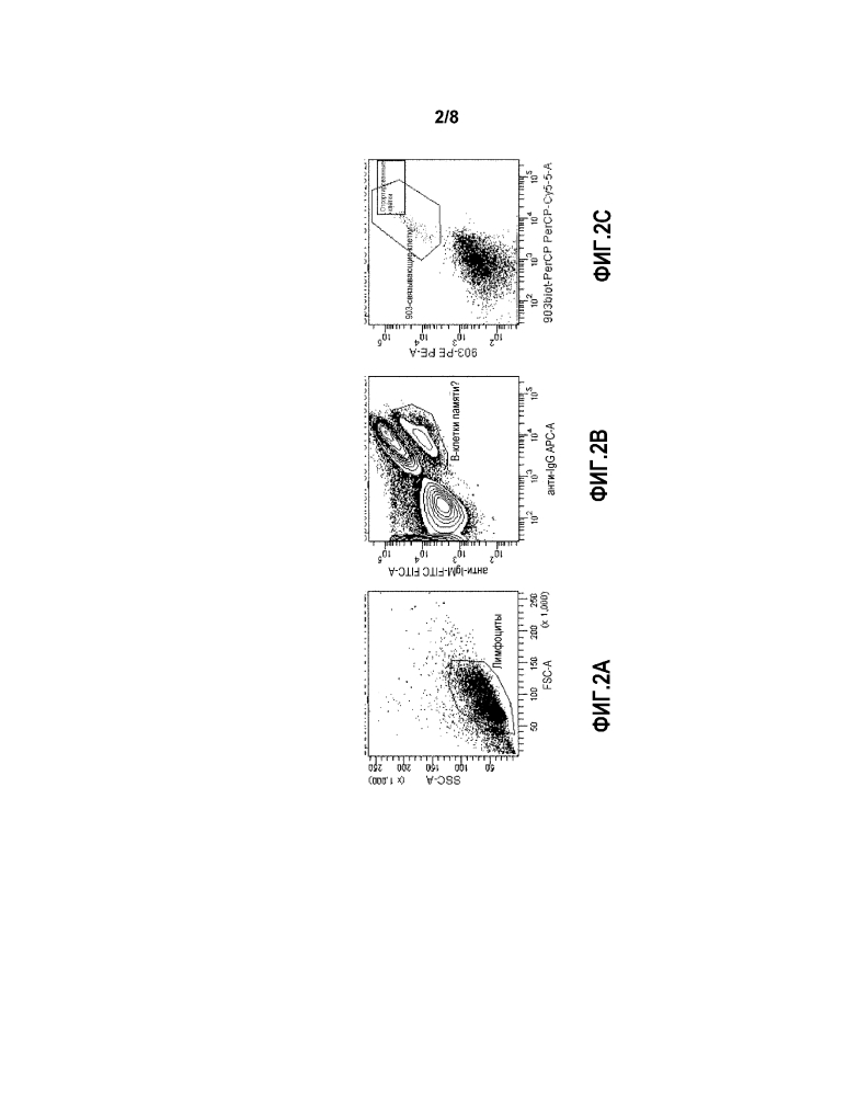 Способы идентификации иммунных связующих веществ поверхностных антигенов клетки (патент 2635186)